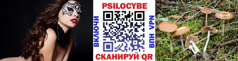 Галлюциногенные грибы Magic Shrooms  цена   Аксай 