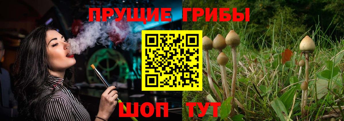 цены наркотик  Вход с VPN  Аксай  Галлюциногенные грибы Magic Shrooms 
