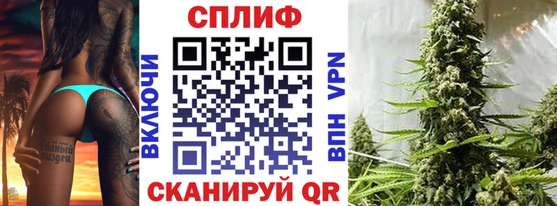 Бошки Шишки гибрид Аксай